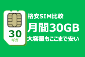 中国でも大容量SIM30G・もちろんVPN機能付き