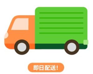 中国どこでもWiFiホームプラン・即日配送